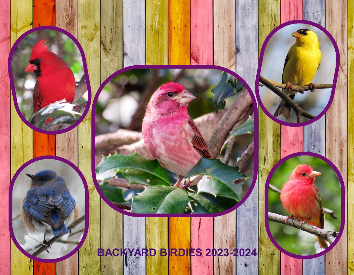 2023-2024 NEWEST BACKYARD BIRDIE CALENDAR 18-MONTH