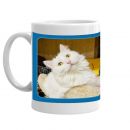 BRAYLEN COFFEE MUG 2