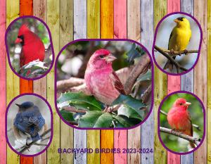 2023-2024 NEWEST BACKYARD BIRDIE CALENDAR 18-MONTH