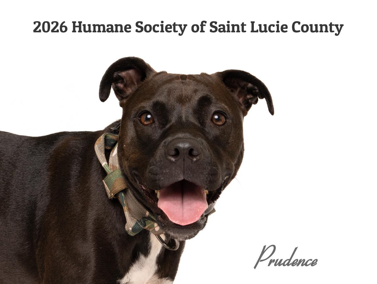 Humane Society of St. Lucie County 2026 Calendar