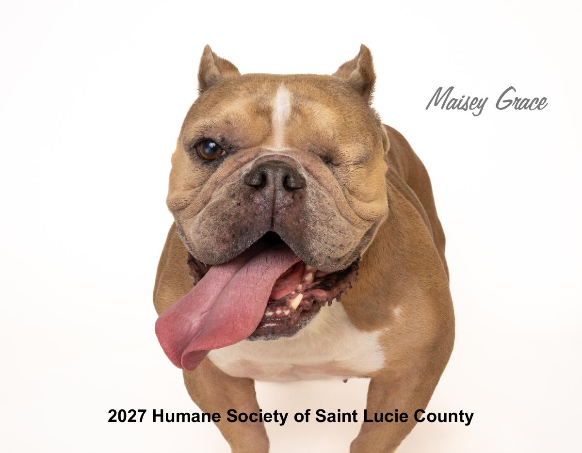 2027 Humane Society of Saint Lucie County