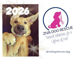 Ziva Dog Rescue 2026 Calendar