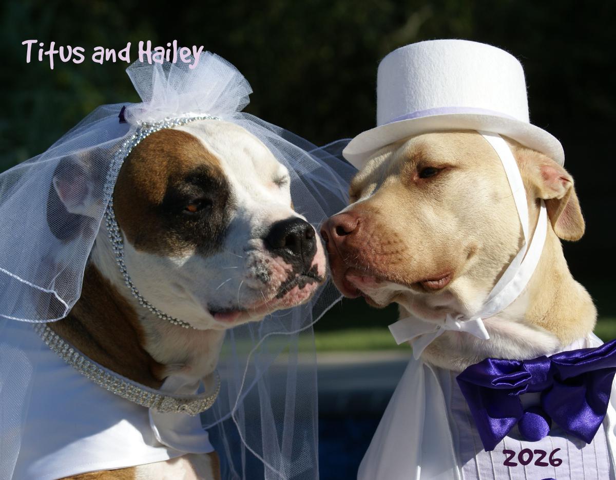 Titus and Hailey 2026