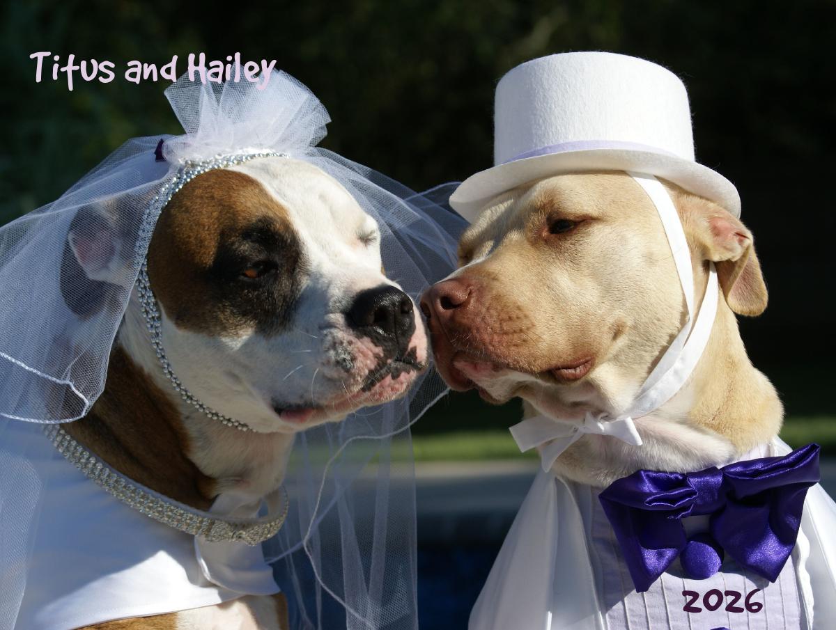 Titus and Hailey 2026