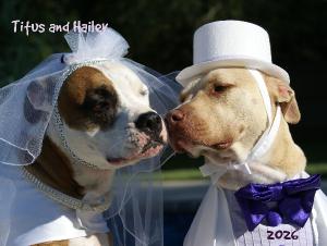 Titus and Hailey 2026