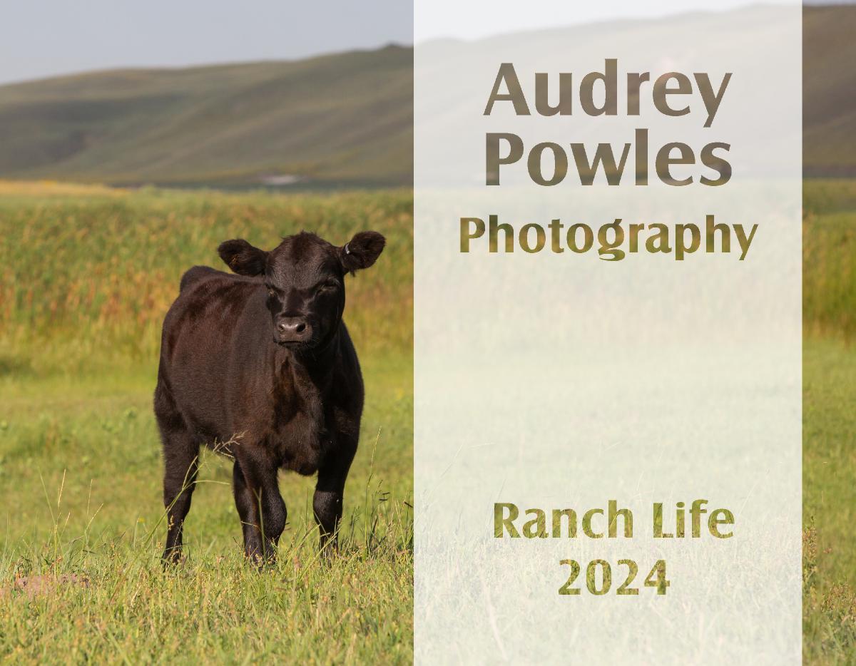 Ranch Life Photography 2024