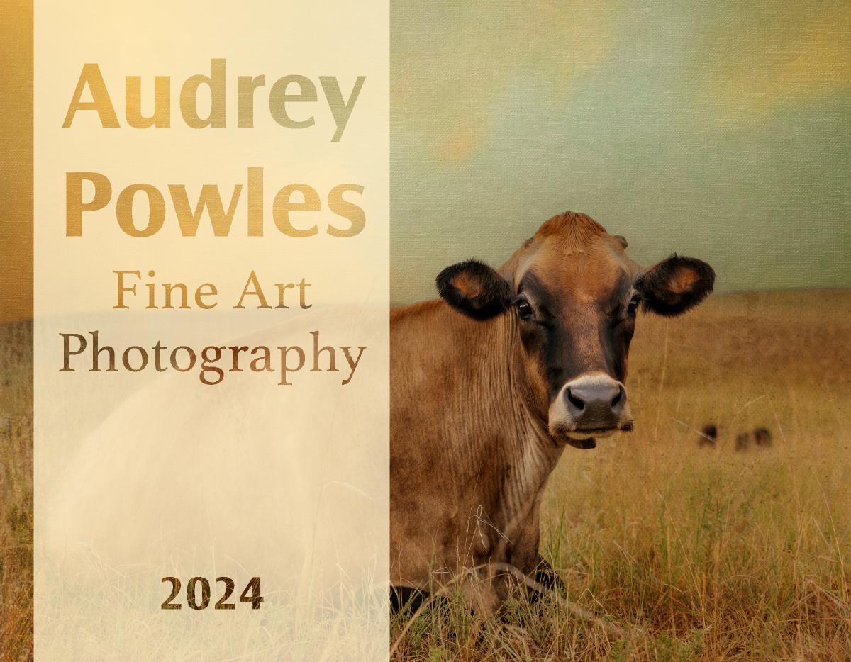 Audrey Powles Fine Art Photography 2024
