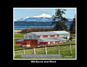 WA Barns & Word