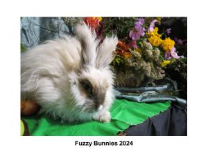 Fuzzy Bunnies 2024