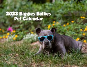 2023 Biggies Bullies Calendar