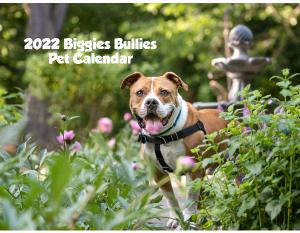 2022 Biggies Bullies Pet Calendar