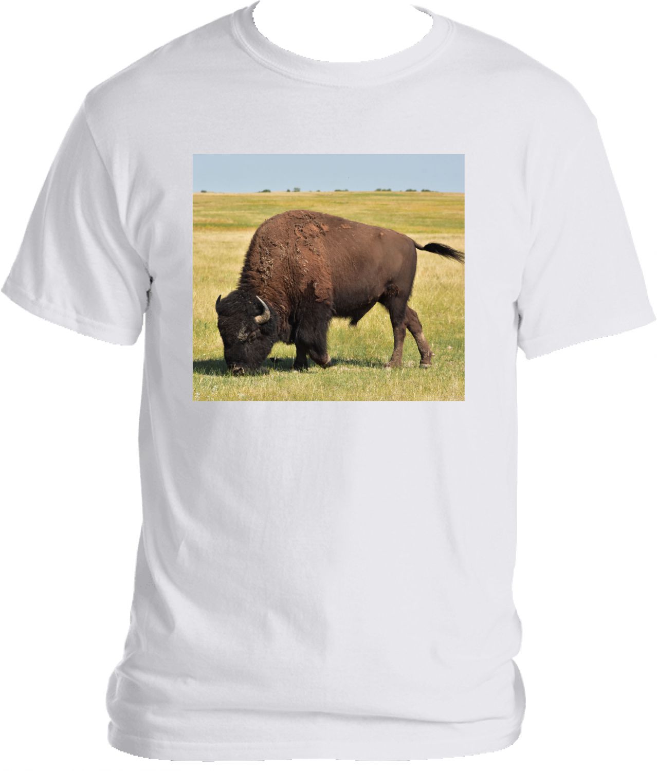 Buffalo Tshirt