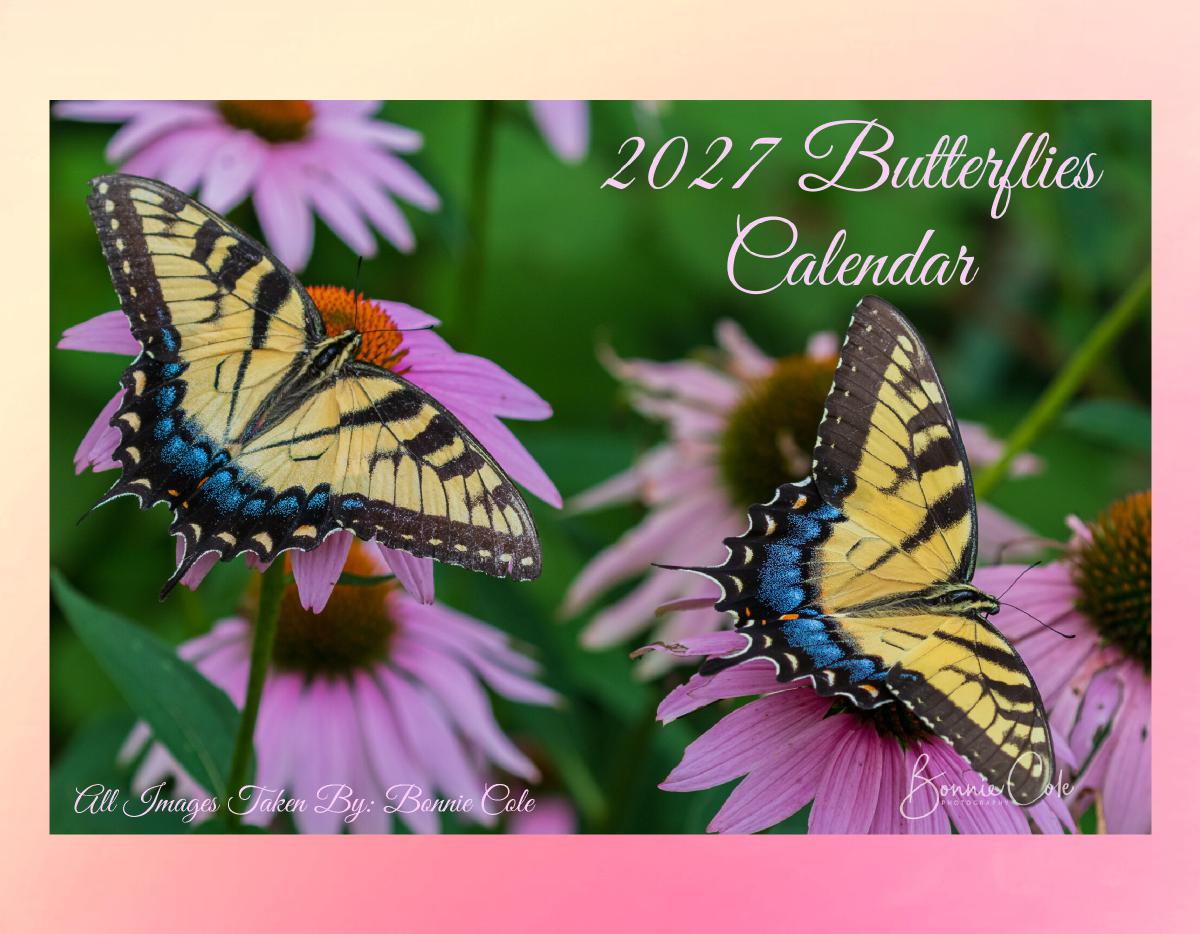 2027 Butterflies Calendar