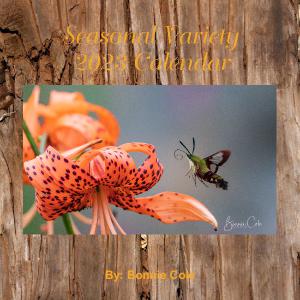 bcphotography68