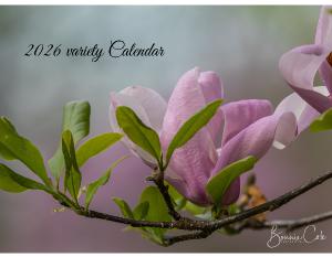 2026 Variety Calendar