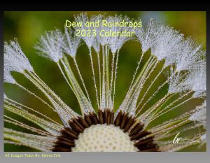 Dew and Raindrops 2023 Calendar