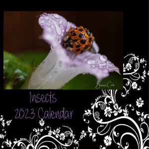 Insects 2021 Calendar