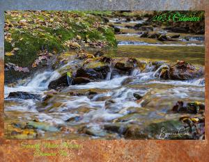 bcphotography68