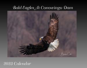 Bald Eagle 2023 Calendar