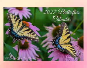 2027 Butterflies Calendar