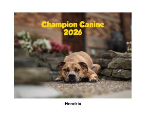 Champion Canine 2026