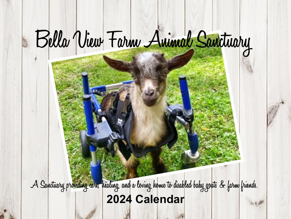 Bella View Farm Animal Sanctuary 2024 Calendar