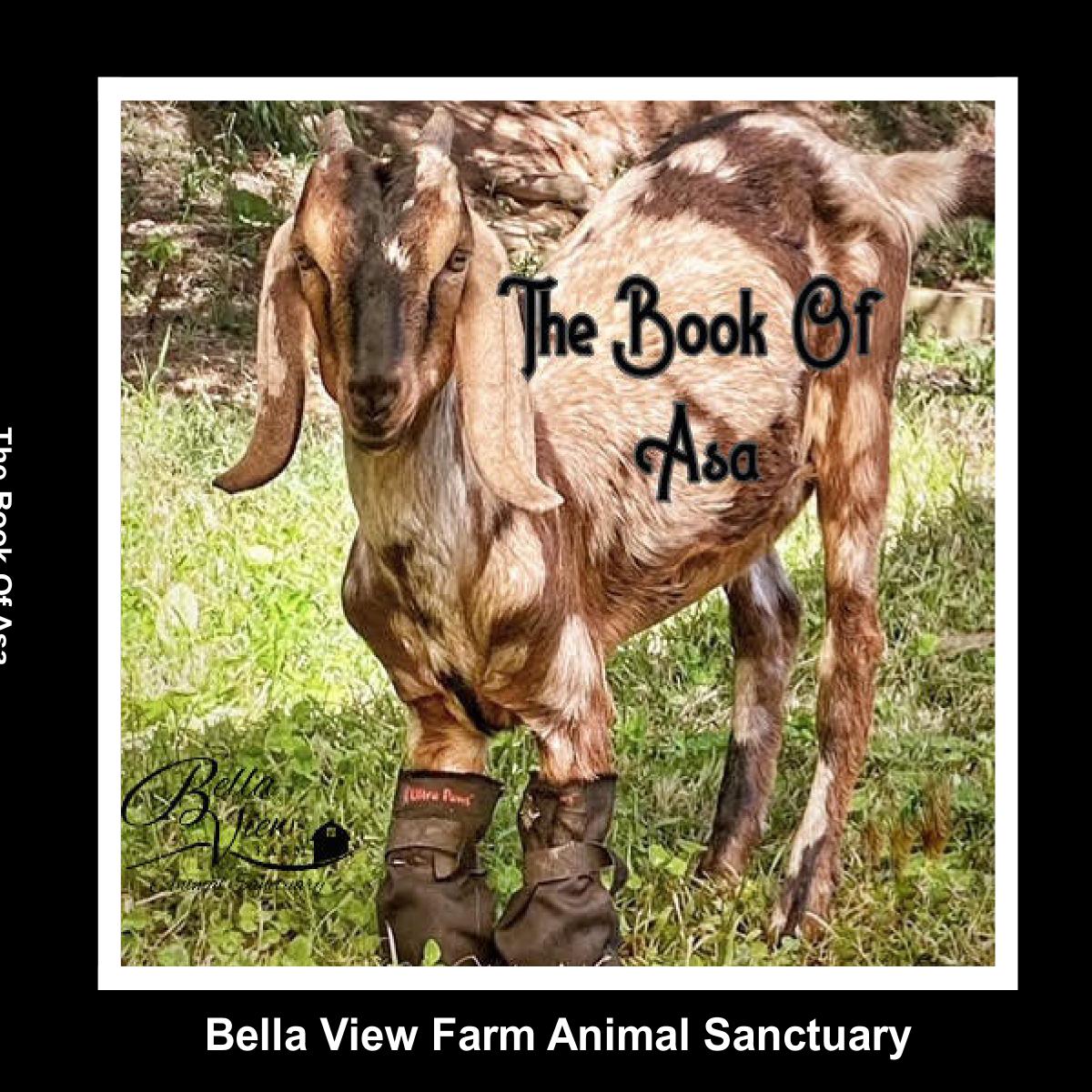 The Book Of Asa