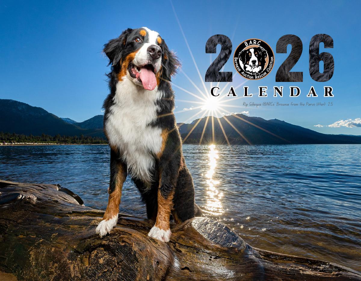 2026 BARC Color Calendar (Colored Background)