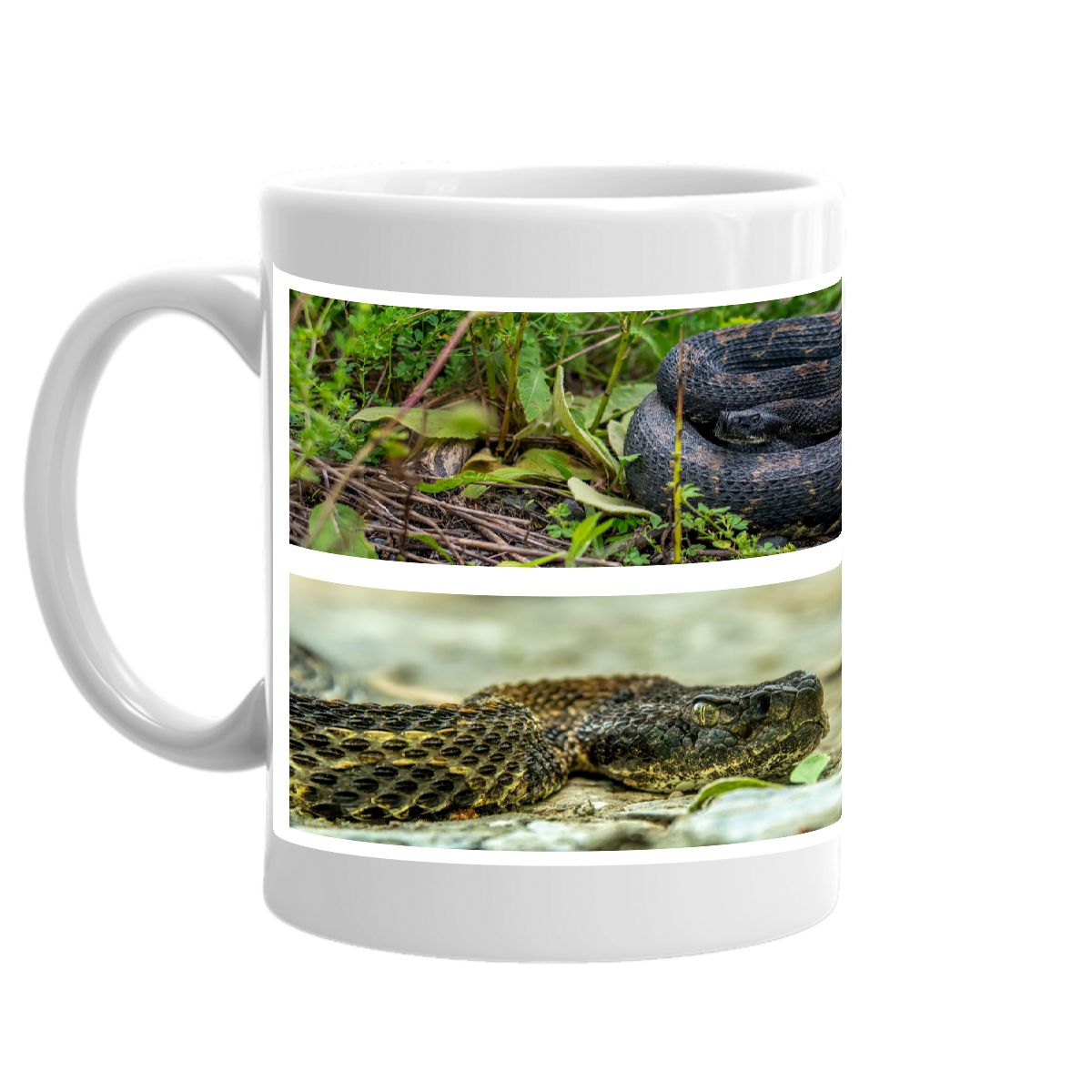 VT Rattlesnake Mug