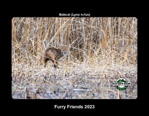 Furry Friends 2023
