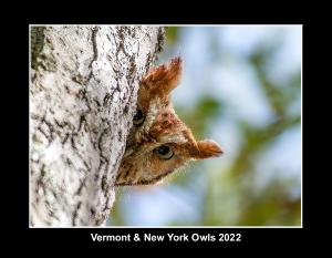 Vermont and New York Owls 2022