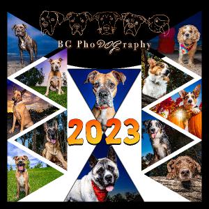 BG PhoDOGraphy 2023 Doggo Calendar