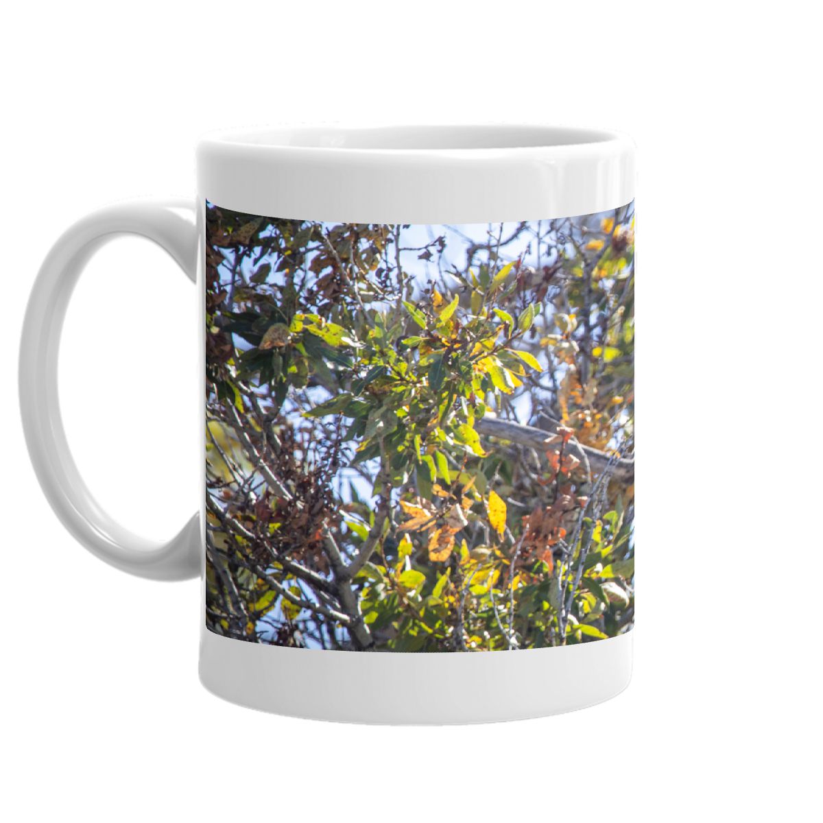 Osprey 11oz coffee mug
