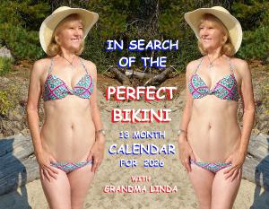 In Search of the Perfect Bikini