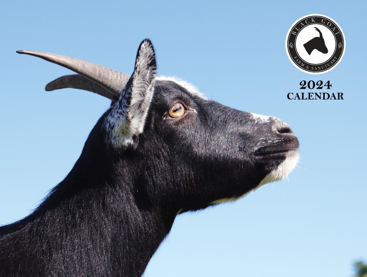 Black Goat Sanctuary 2024