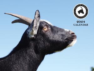 Black Goat Sanctuary 2024