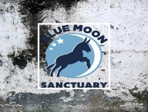 Blue Moon Sanctuary 2023 Calendar