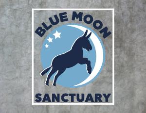 Blue Moon Sanctuary 2024 Calendar