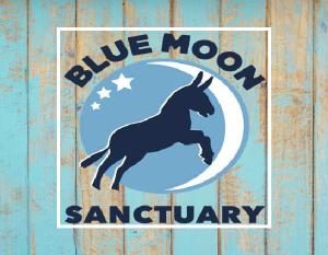 Blue Moon 2026 Calendar