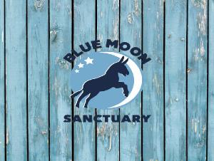 Blue Moon 2025 calendar