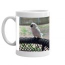 Bon Bon the Cockatoo