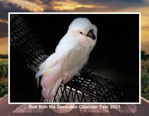 Bon Bon 2023 Calendar