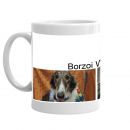 borzoihealth