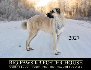 Big Paws K9 Foster House 2027 Calendar