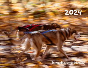 BraverMountain Mushing Calendar 2024