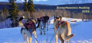 bravermountain