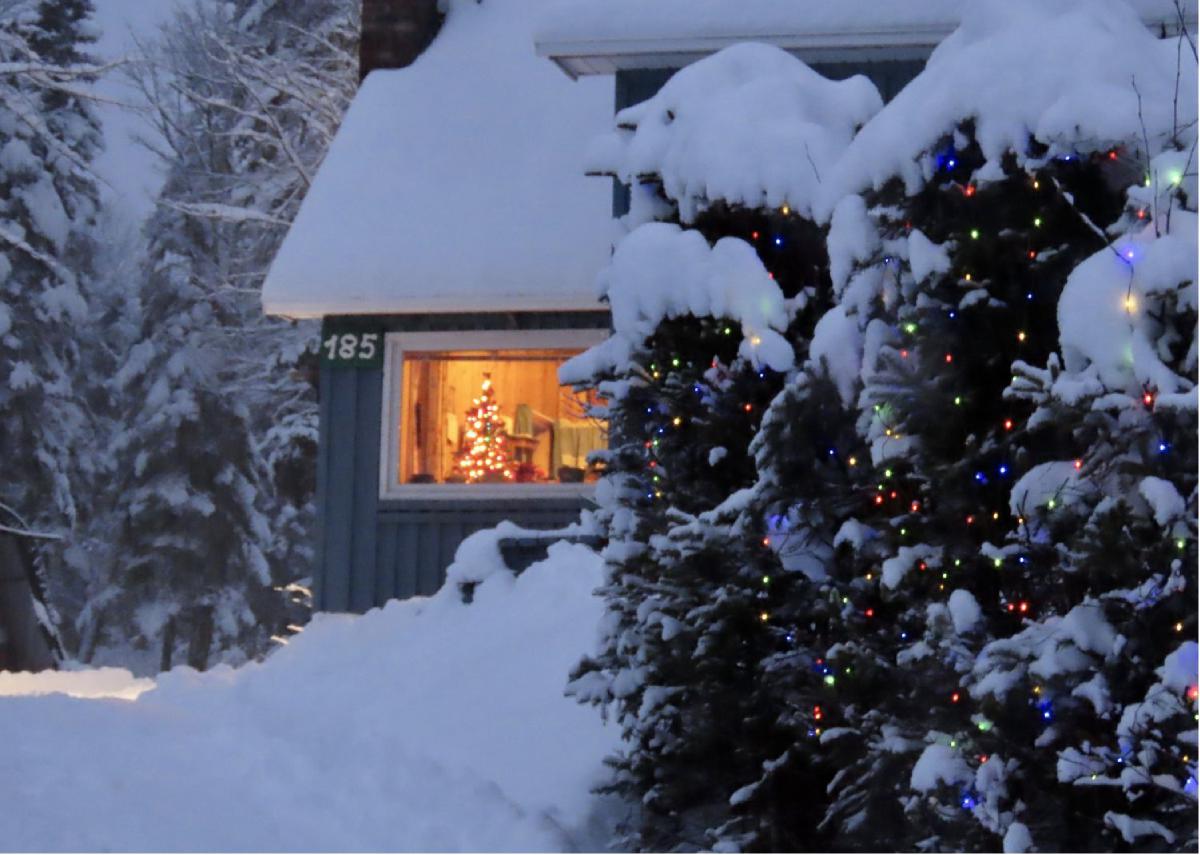 Snowy winter wonderland