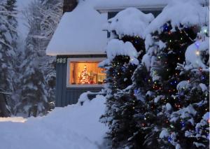 Snowy winter wonderland