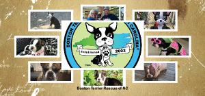 2023 BTRNC Desk Calendar