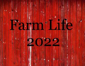 Harvold Farm 2022